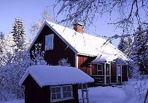 Häcken im Winter